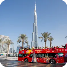 City Tours_