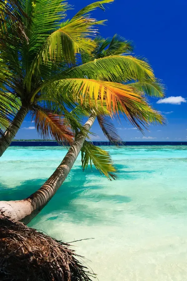 maldives